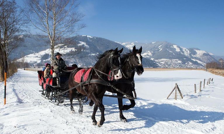Lake View Suites Villa Julia By We Rent Zell Am See Online